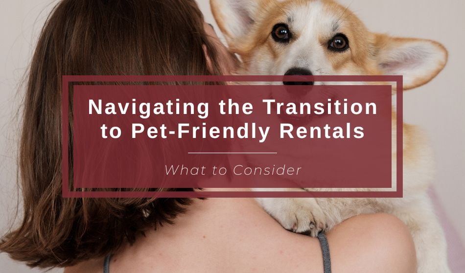 Navigating the Transition to Pet-Friendly Rentals: What to Consider