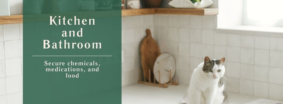 Pet-Proof Your Rental's Kitchen and Bathroom