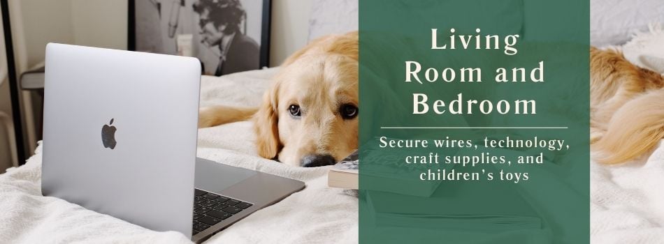Pet-Proof Your Rental's Living Room and Bedroom