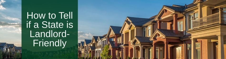 1 - What to Look For