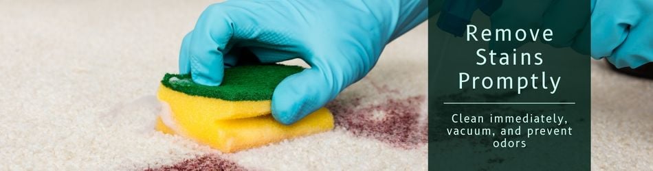 2 - Remove Stains Promptly