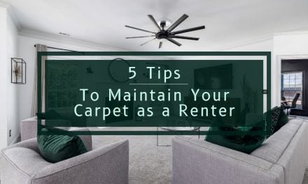 5 Tips to Maintain Your Carpet as a Renter 