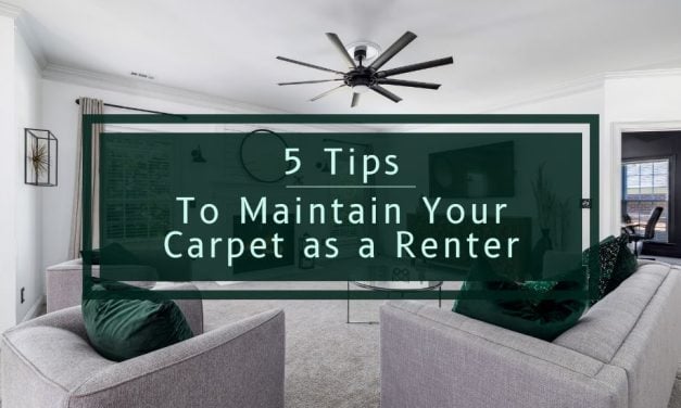 5 Tips to Maintain Your Carpet as a Renter 