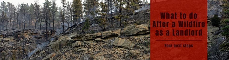 4 - What to do After a Wildfire as a Landlord