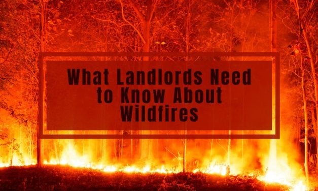 What Landlords Need to Know About Wildfires