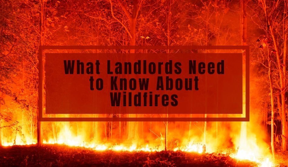 What Landlords Need to Know About Wildfires