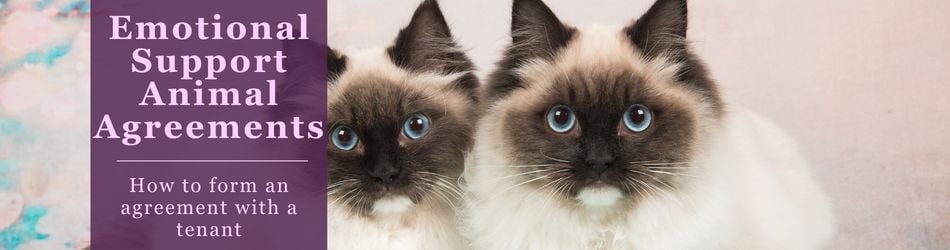 4 - Emotional Support Animal Agreements