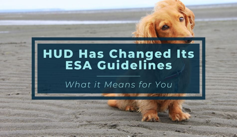 HUD Has Changed Its ESA Guidelines| What it Means for You