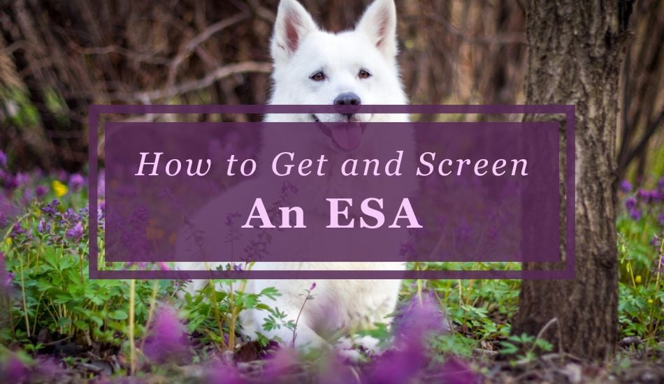 How to Get and Screen an ESA