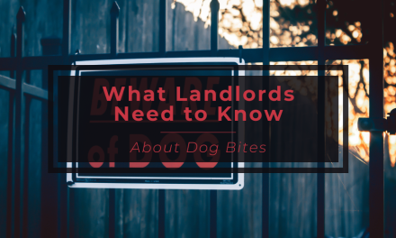 What Landlords Need to Know About Dog Bites