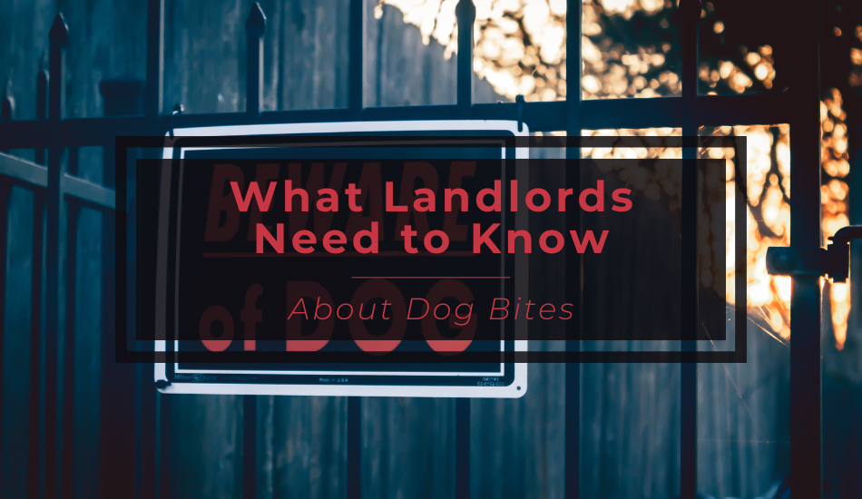 What Landlords Need to Know About Dog Bites