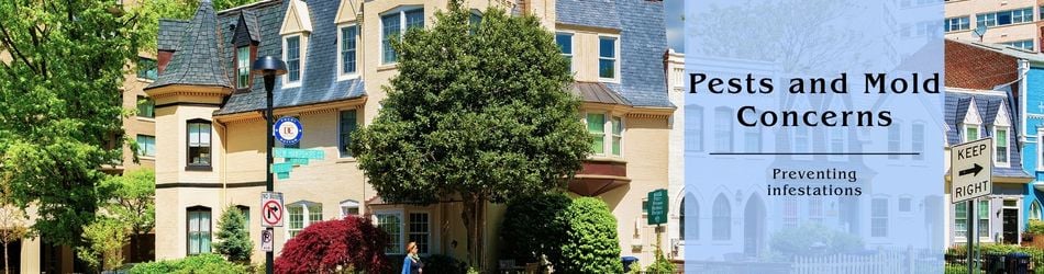 3 - Pests and Mold Concerns