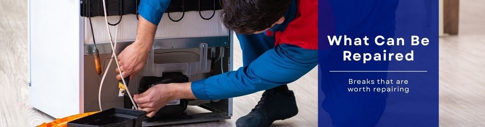 1 - What Can Be Repaired