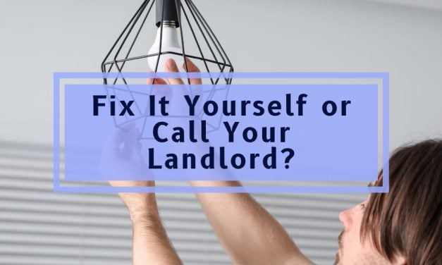 Fix It Yourself or Call Your Landlord?