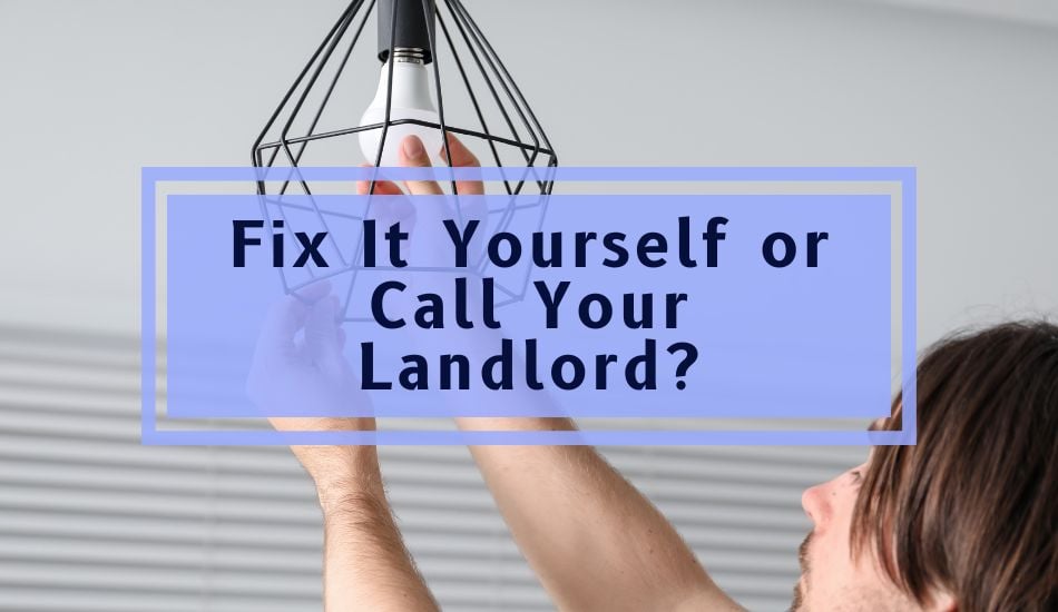 Fix It Yourself or Call Your Landlord?